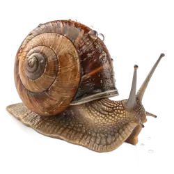 Imagen PNG para descargar